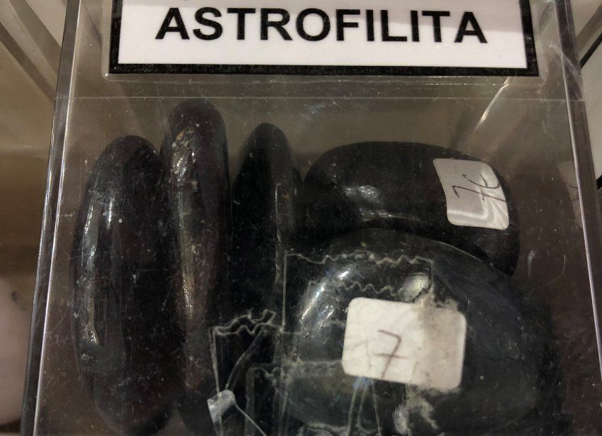 astrofilita