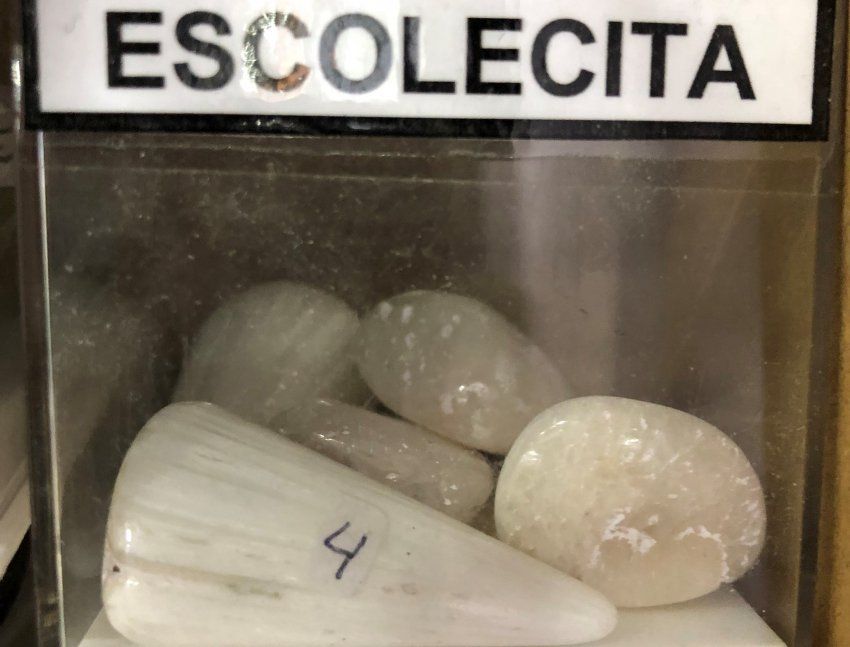 escolecita